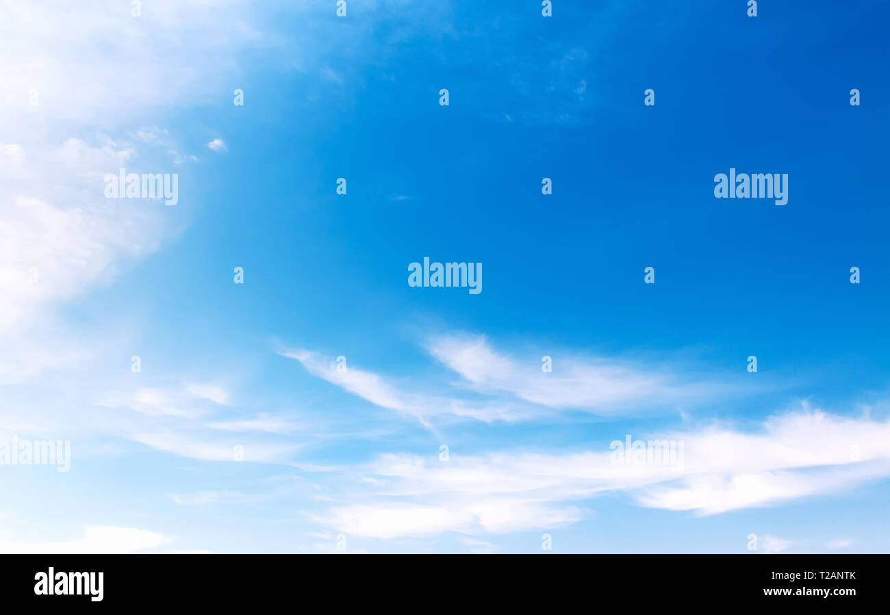 Concetto di libertà sullo sfondo di un cielo blu con bianco, soffici nuvole Foto Stock