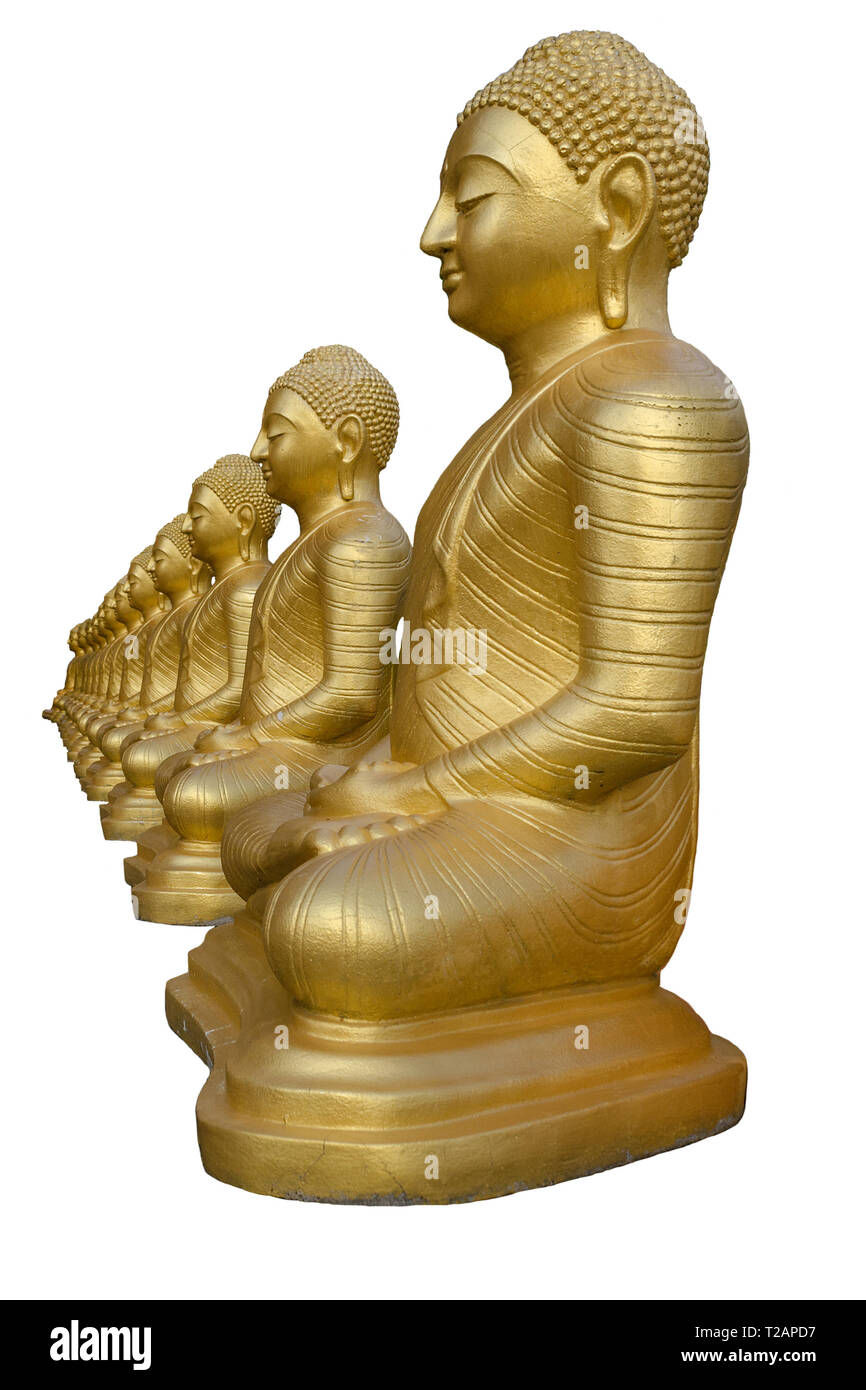 Fila di golden statue di Buddha, isolato su sfondo bianco. Tempio di Sri Lanka, Matara. Foto verticale. Foto Stock