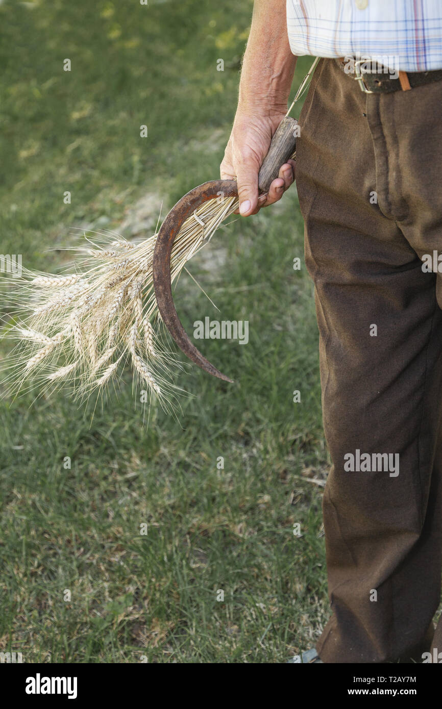 Uomo vecchio con un covone di grano e la falce in mano Foto Stock