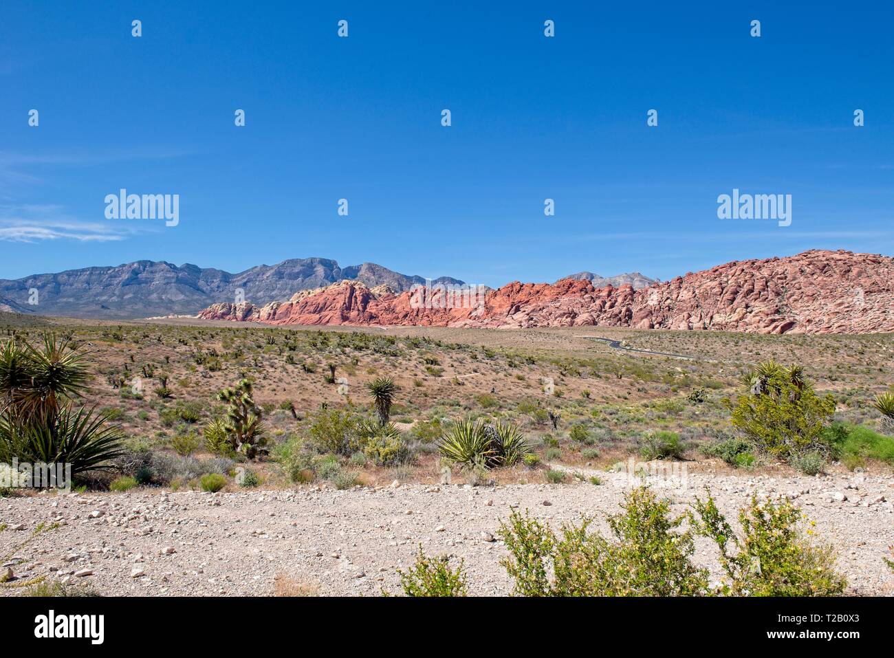 Vista sulle montagne in Red Rock Canyon Nature Conservancy Foto Stock