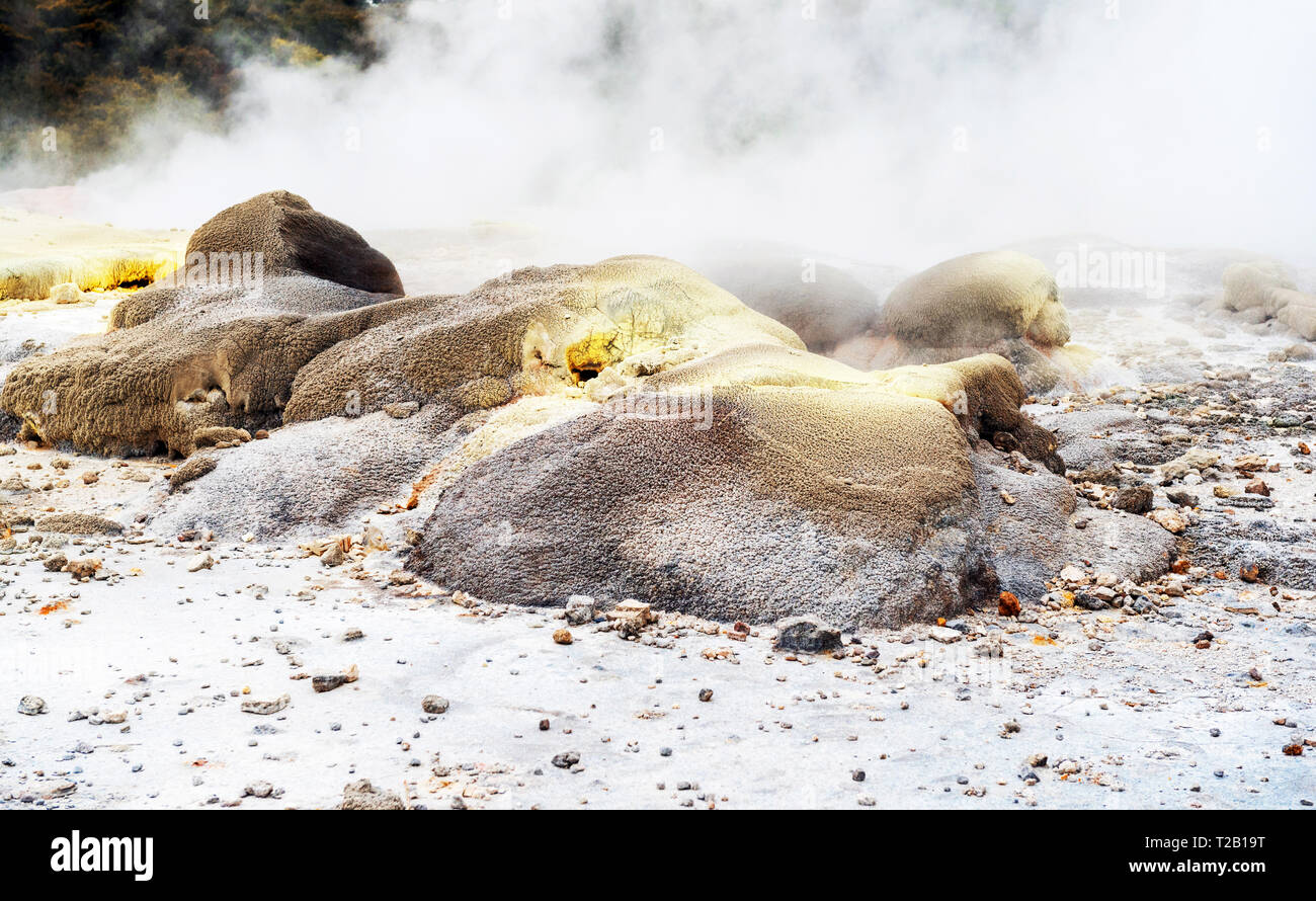 Hot Springs in Te Puia, Rotorua in Nuova Zelanda sull'Isola del nord. Con il fuoco selettivo Foto Stock