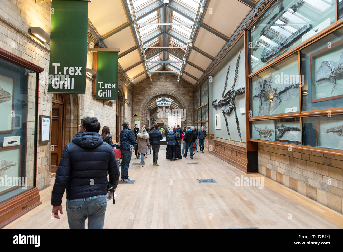 LONDON, Regno Unito - 22 Marzo 2019: i turisti che visitano la Ichthyosaurus fossili di rettili marini Gallery nel Museo di Storia Naturale Foto Stock