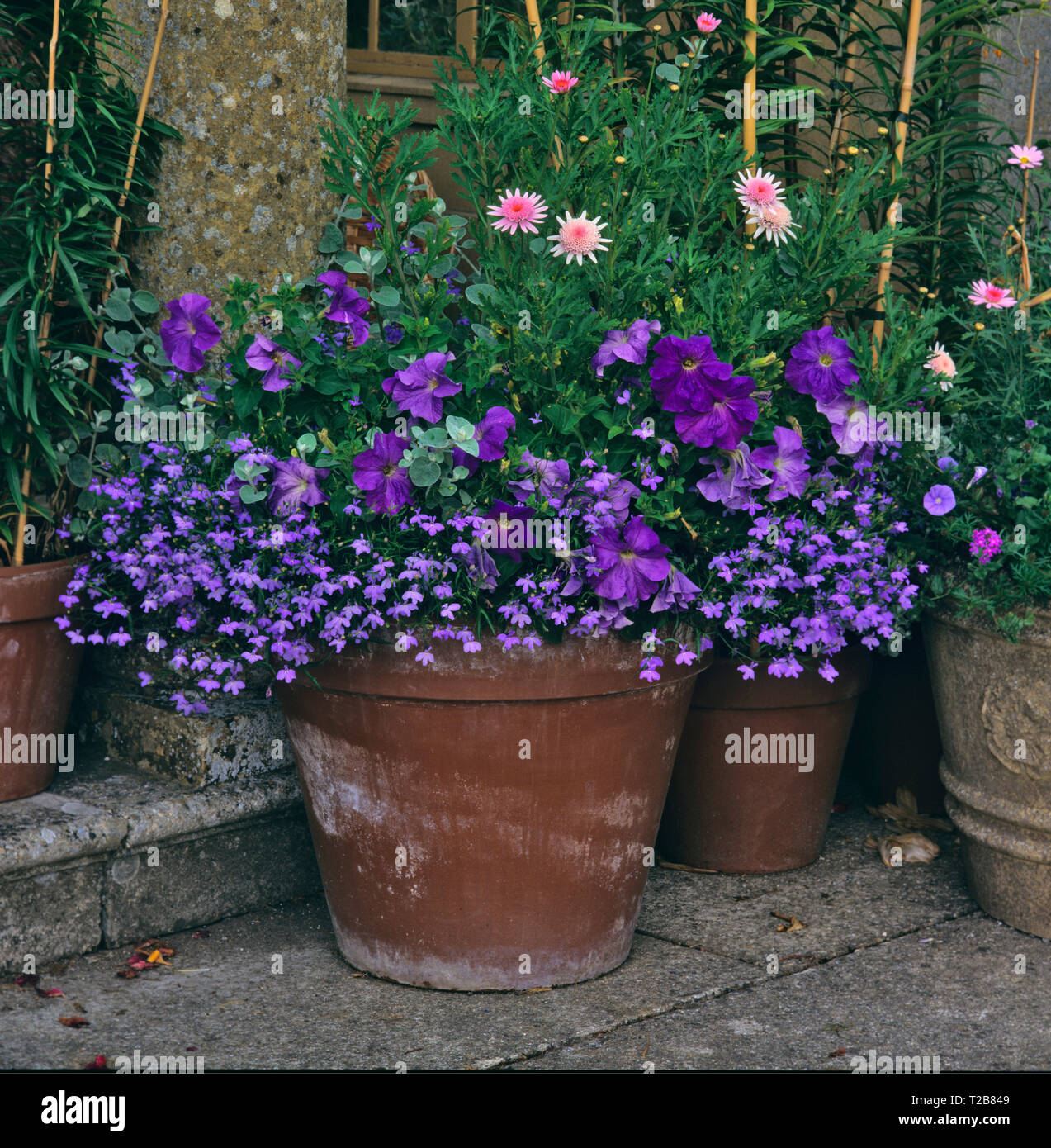 Una terrazza in pietra con colouful piantato contenitori di fiori Foto Stock