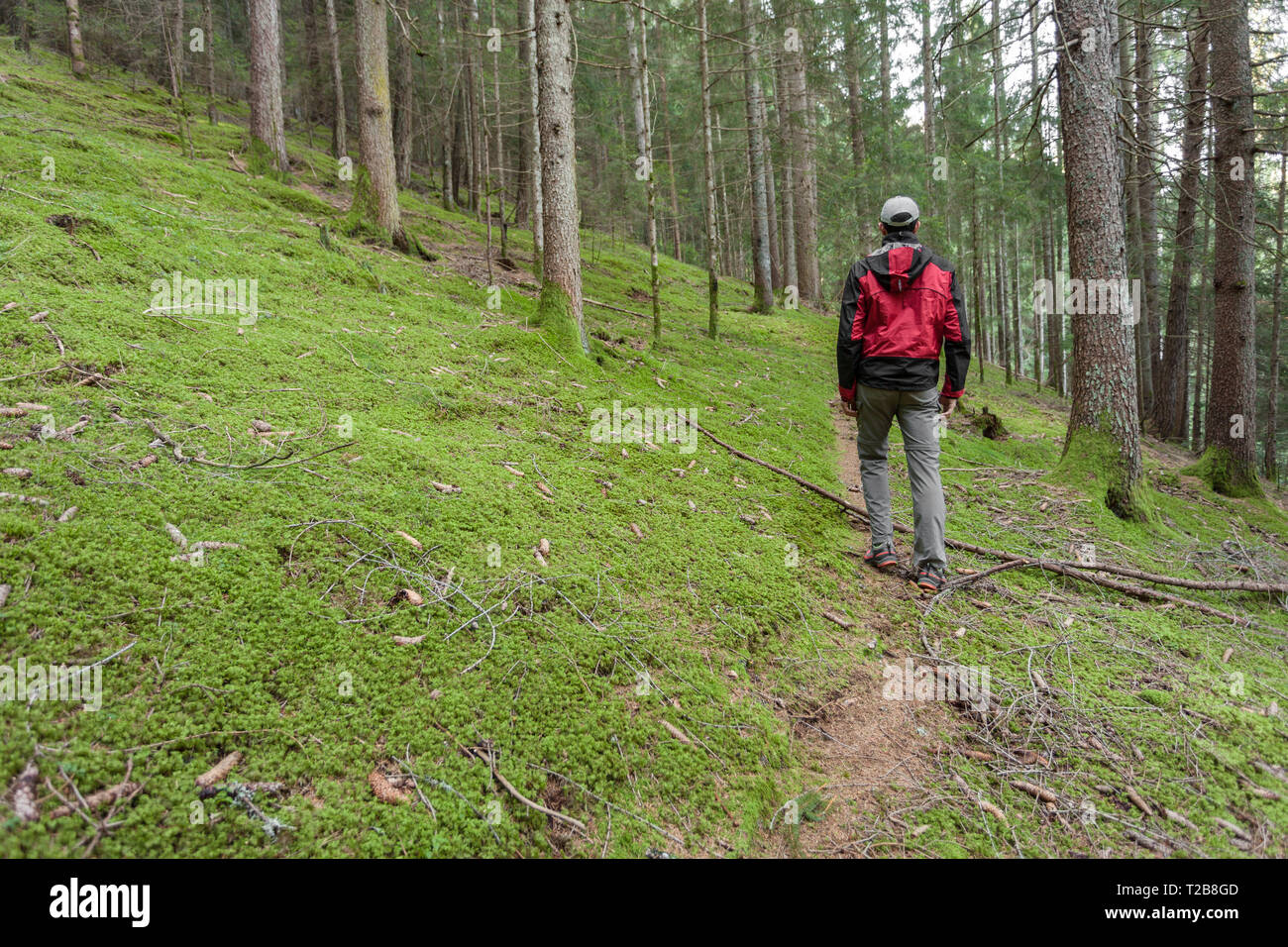 Un trekker camminare da solo tra la foresta in un giorno nuvoloso Foto Stock