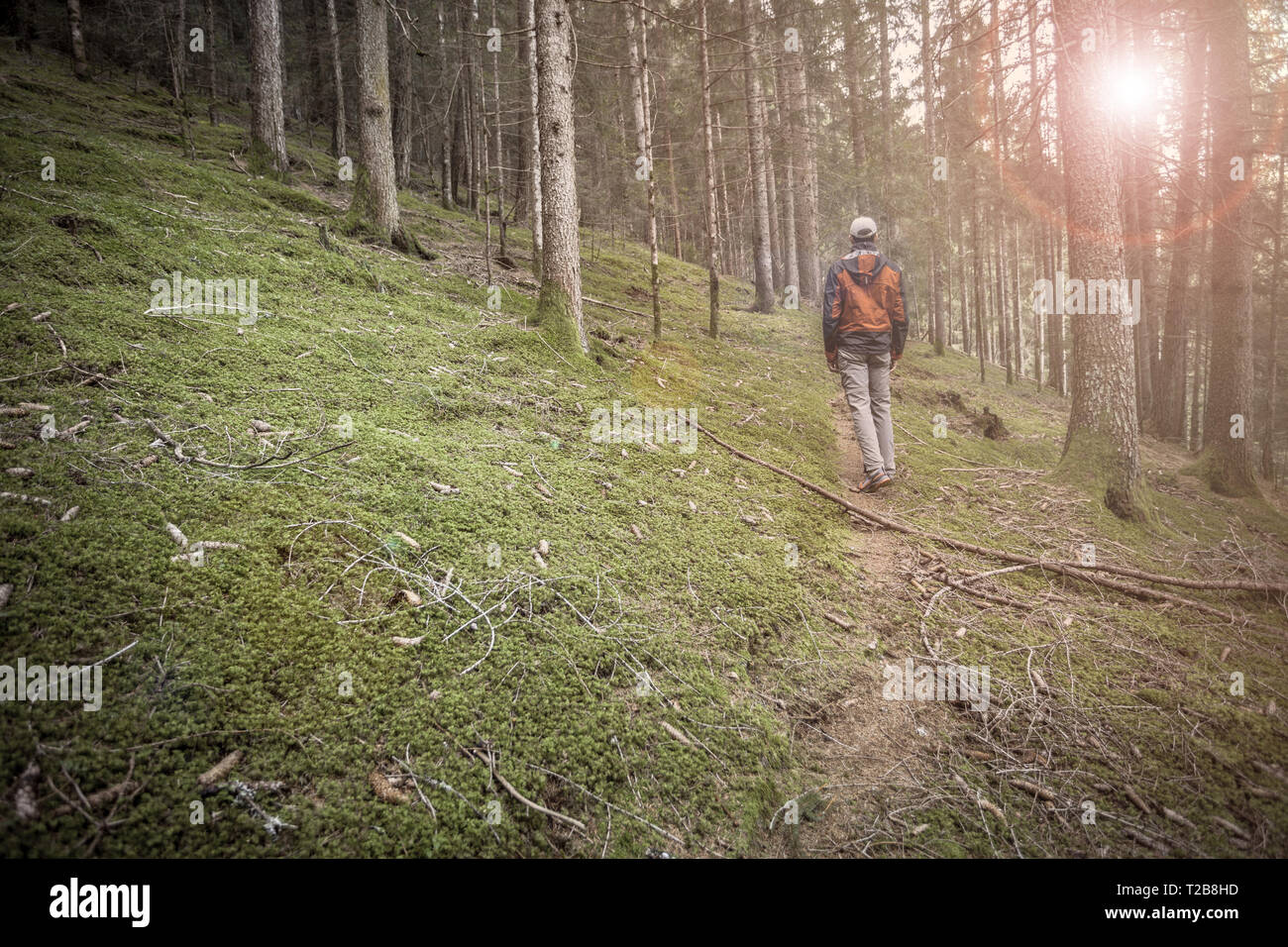 Un trekker camminare da solo tra la foresta in un giorno nuvoloso Foto Stock