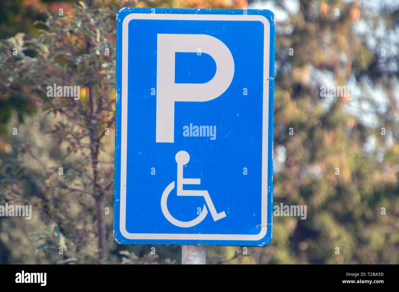 Simbolo di parcheggio per i driver di sedie a rotelle a Amsterdam Paesi Bassi 2018 Foto Stock