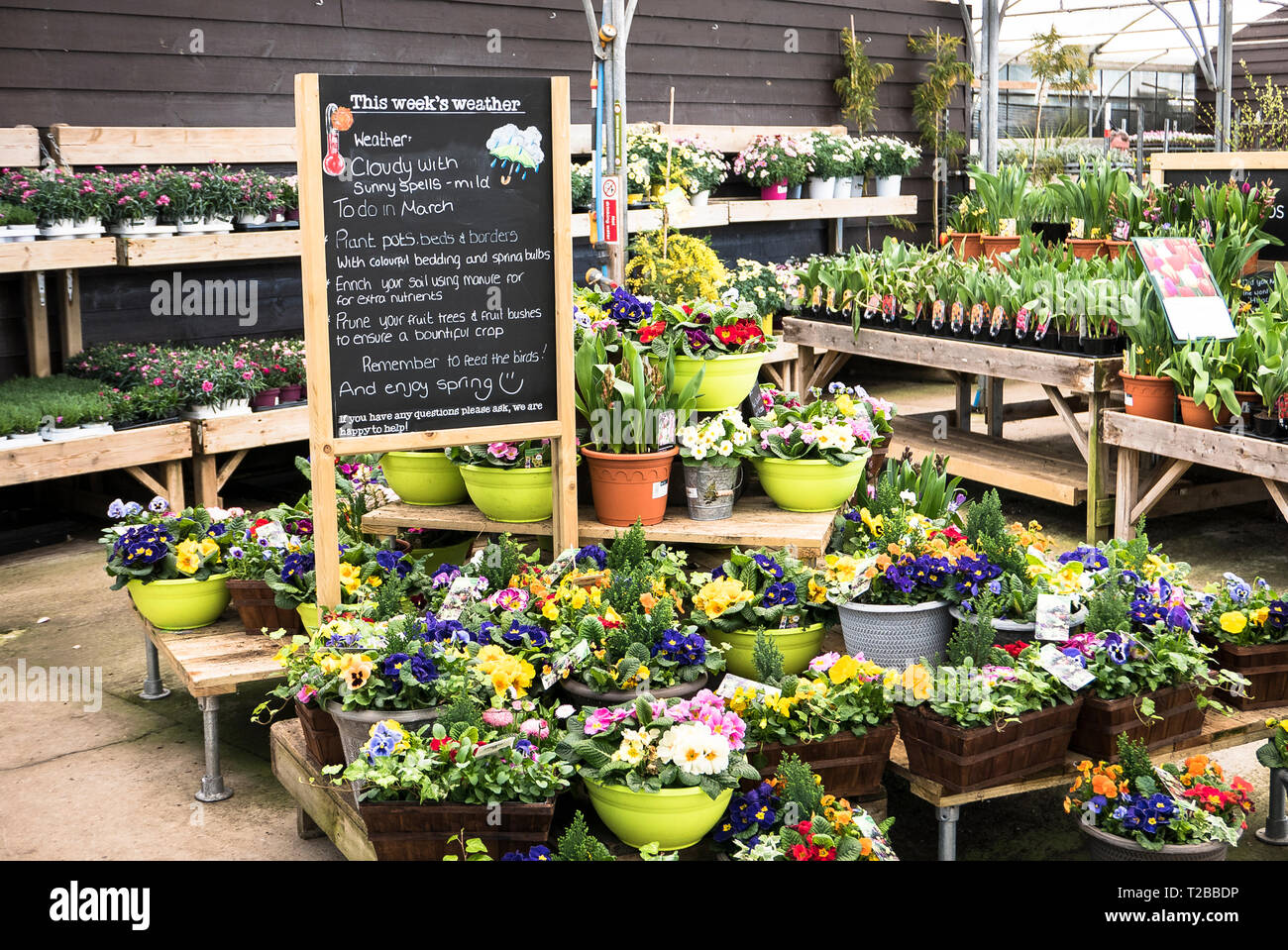 Suggerimenti utili per lavorare in giardino visualizzato in un giardino inglese centro nella primavera del Regno Unito Foto Stock