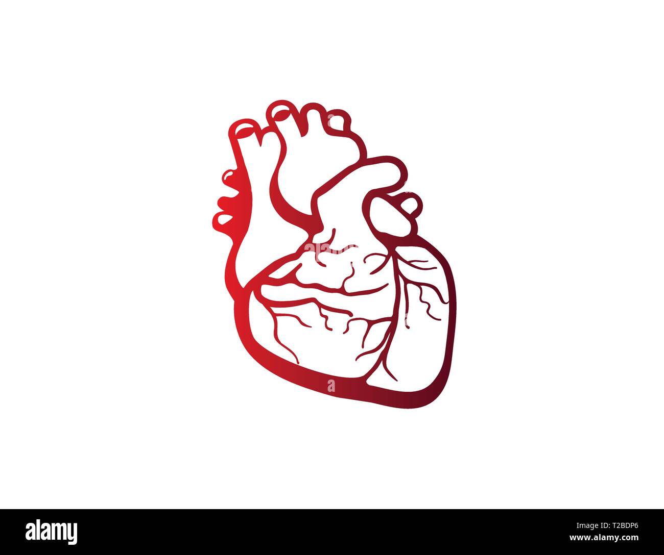 Grafica icona mediche di un cuore umano Illustrazione Vettoriale