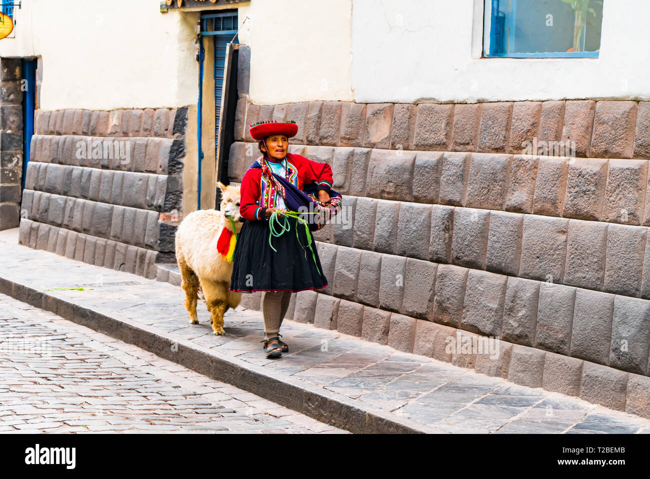 CUSCO, Perù - 26 gennaio 2016 : Non identificato donna locale con la sua llama a piedi lungo la strada in Cusco, Perù Foto Stock