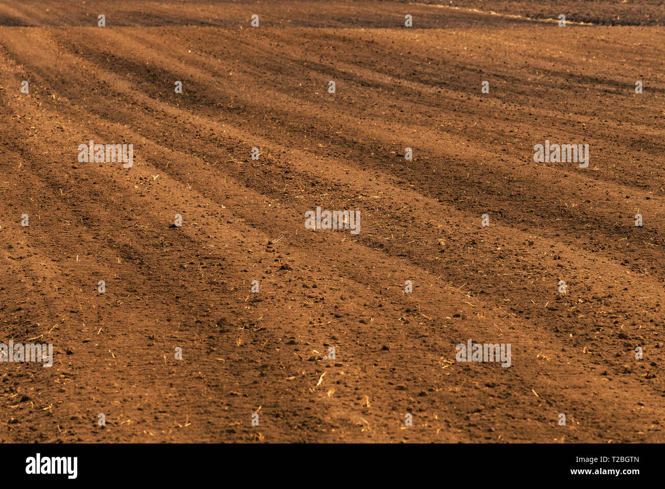 Terreni arati pronti per la stagione di semina delle colture agricole in primavera Foto Stock