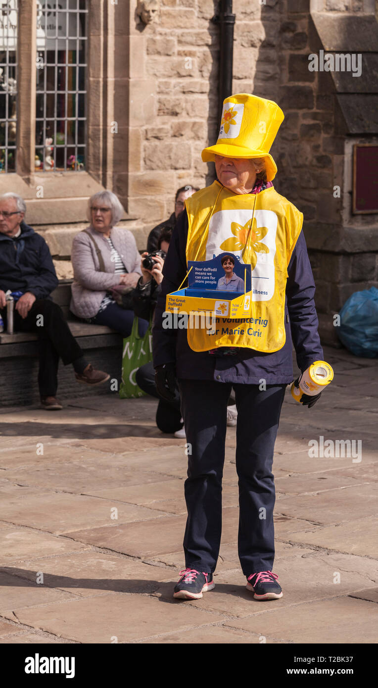 Un volontario femmina vestito con un abito giallo per le borse Marie Curie di ospitalità Daffodil appello a Durham,l'Inghilterra, Regno Unito ,la raccolta per la carità Foto Stock