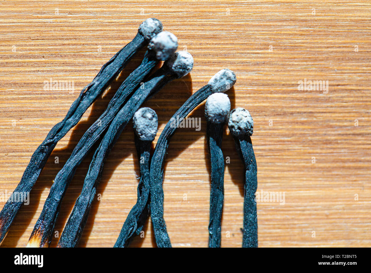 Bruciato corrisponde, carbonizzati, nero pezzi di legno. Foto Stock