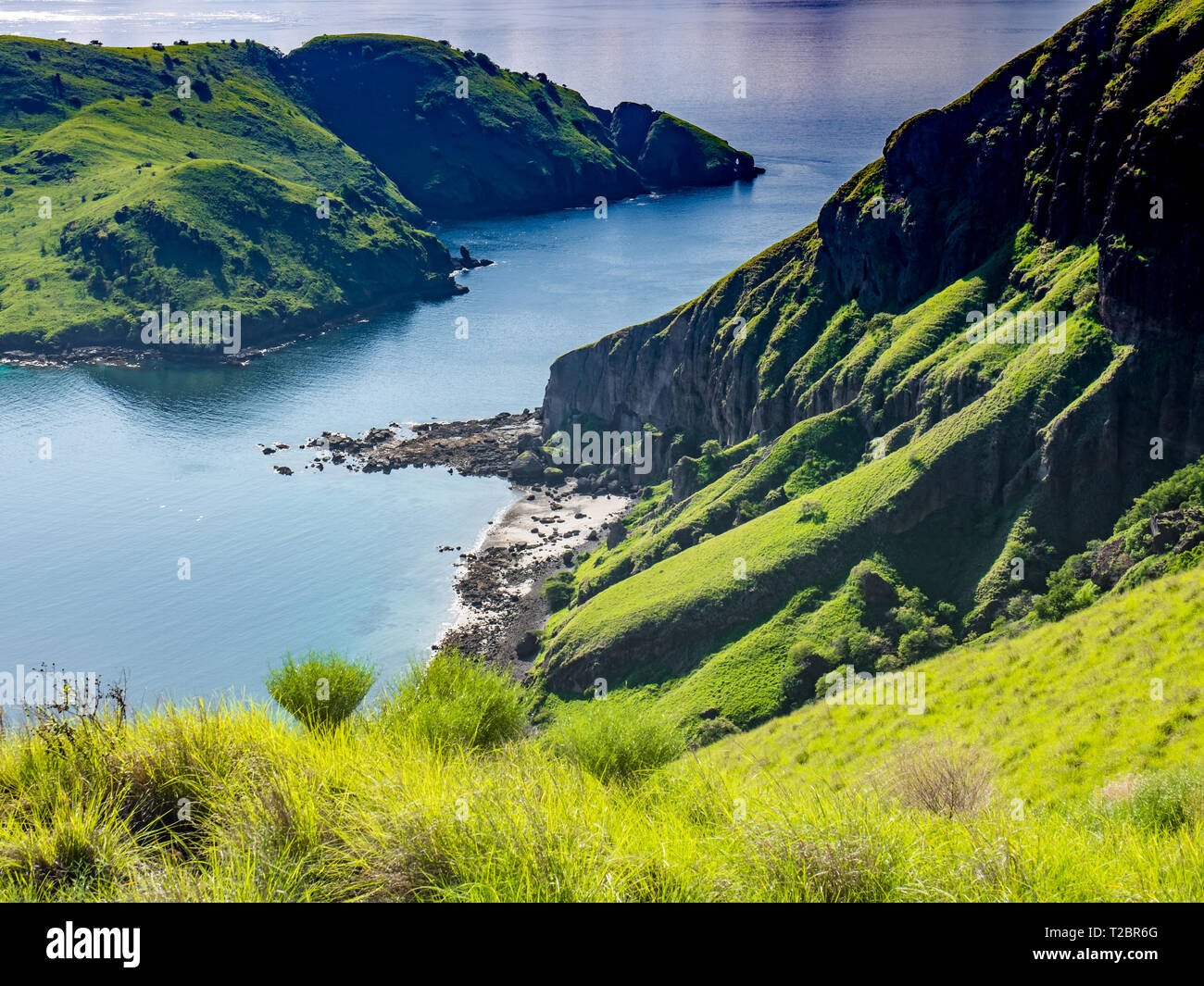 Costa di Pulau Padar isola situata tra Komodo e Rinca isole, Labuan Bajo, Indonesia. Paesaggio di montagna con acqua di mare e luminoso verde erba Foto Stock