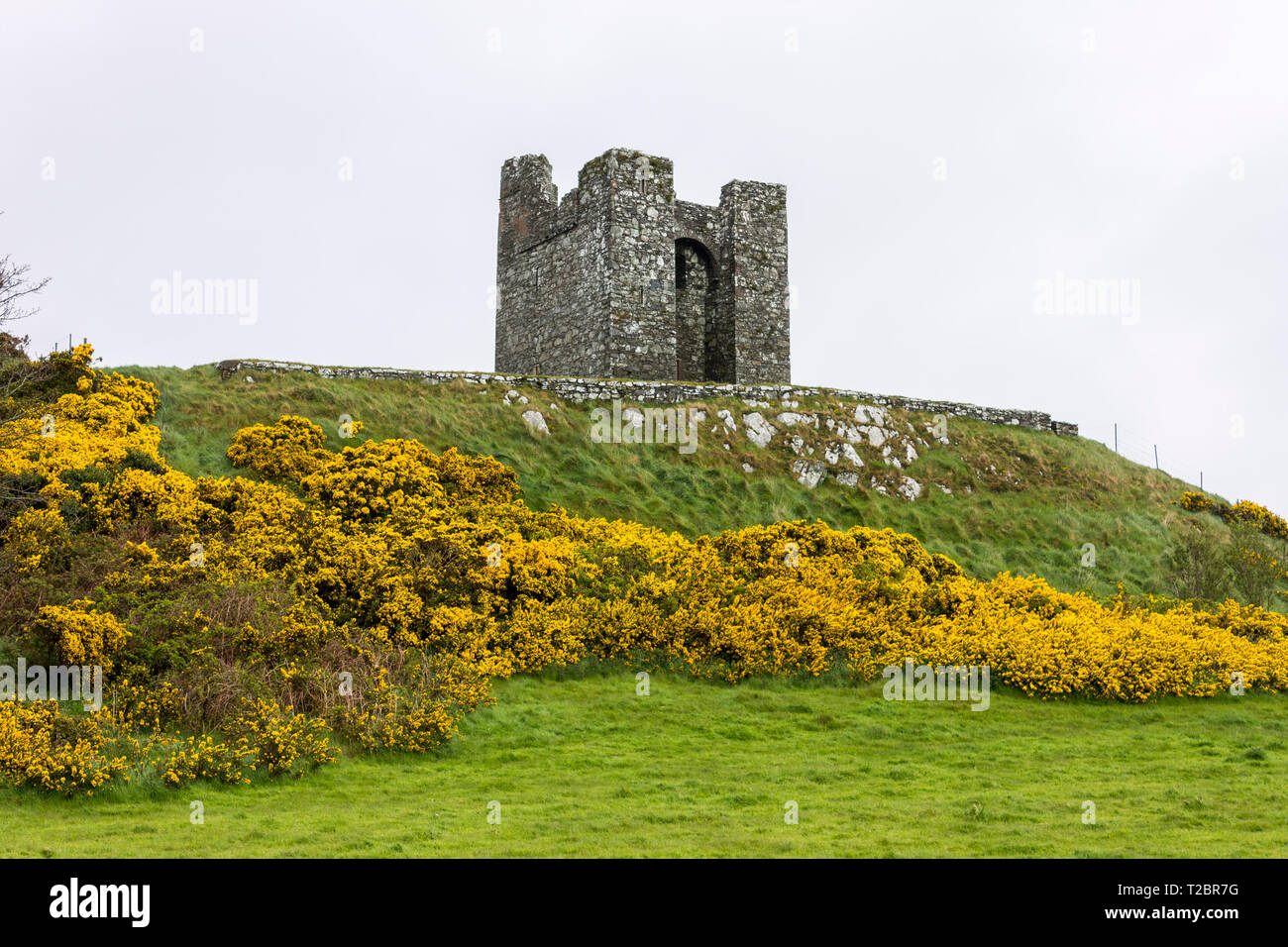 Strangford, Irlanda del Nord. Audley il castello di Castle Ward, una famosa location del film di fantasia di spettacoli TV Foto Stock