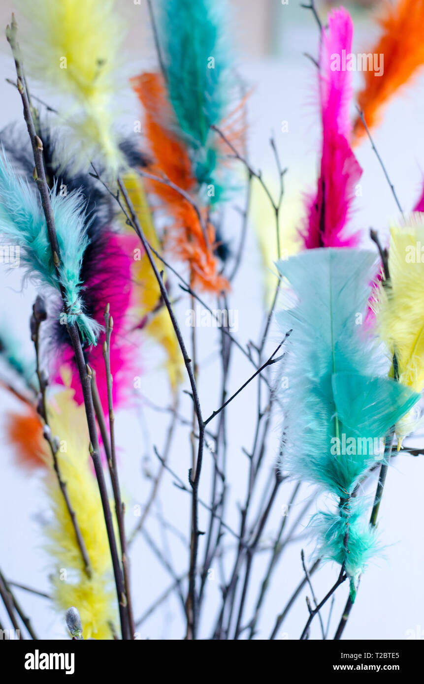 Pasqua tradizionale decorazione realizzata con ramoscelli con piume colorate su di essi Foto Stock
