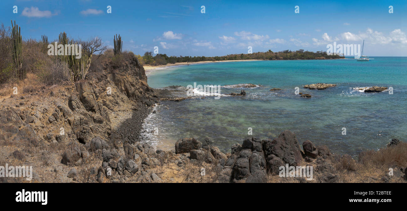 2010, Antilles Françaises, bay, Canon EOS 5D, Caraibi, Costa, Etang des Salines,, idrotermale idrotermale petrification silice, isola, La savane Foto Stock