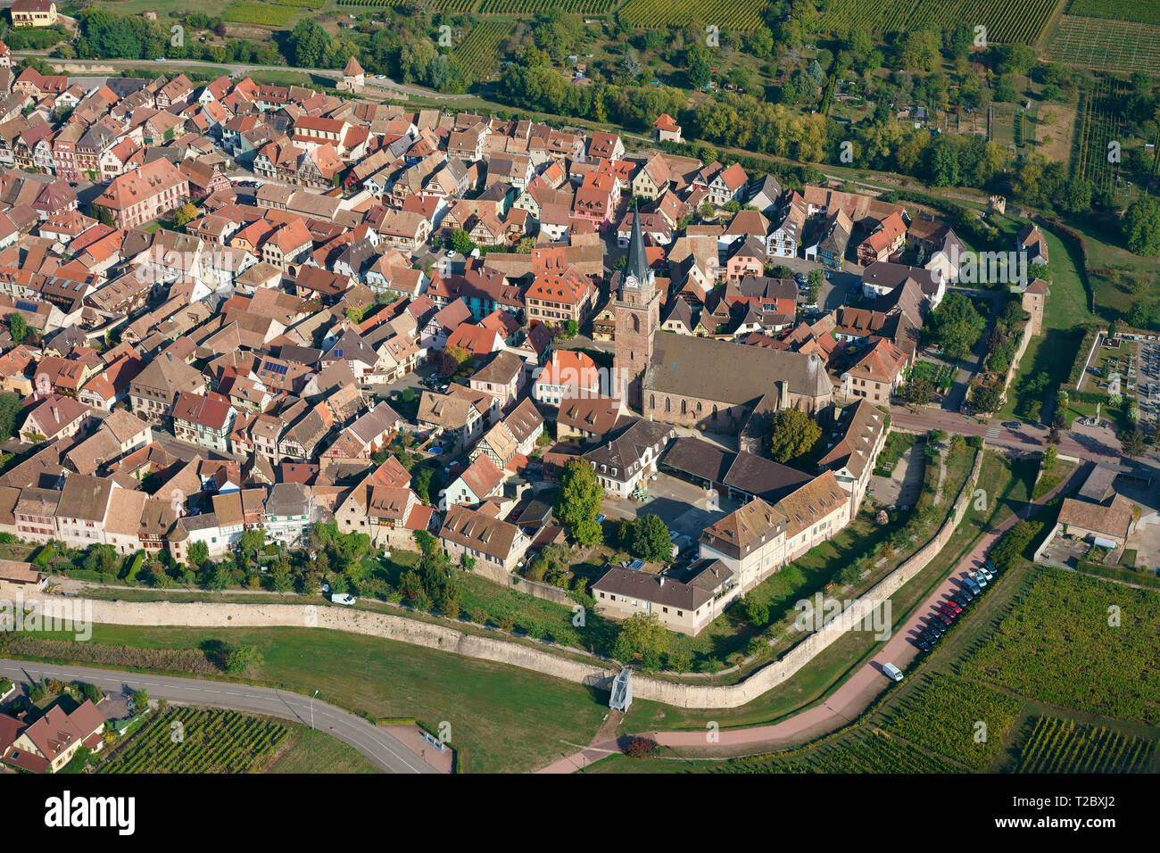 VISTA AEREA. Città medievale con i suoi bastioni circostanti. Bergheim, Alto Reno, Alsazia, Grand Est, Francia. Foto Stock