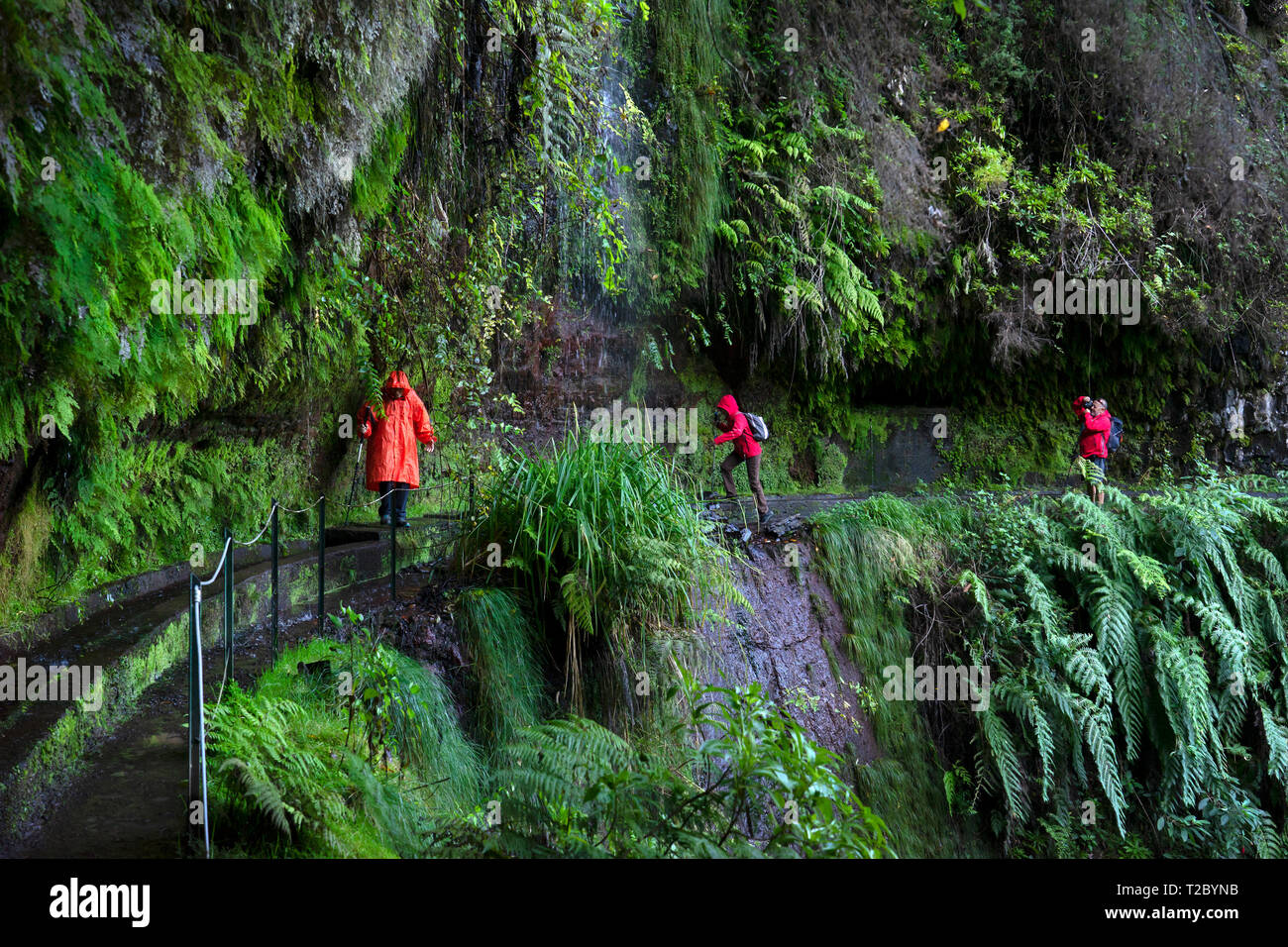 I turisti a piedi a cascata su Laverda a piedi in Madeira,  Portogallo,l'Europa Foto stock - Alamy
