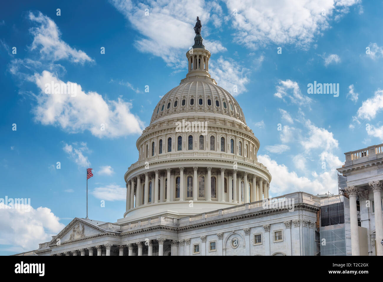 United States Capitol Building, Washington DC, Stati Uniti d'America. Foto Stock