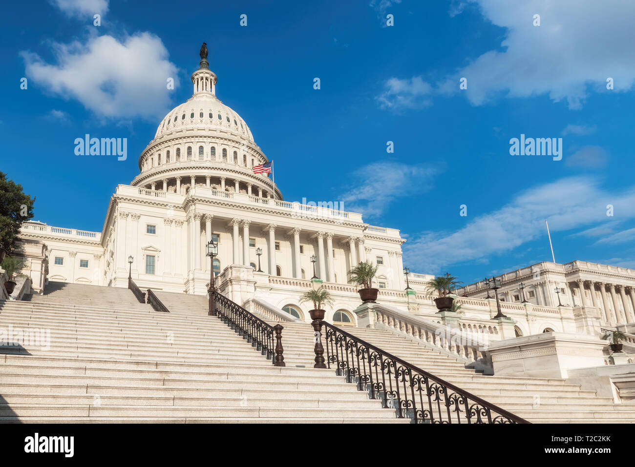 United States Capitol Building, Washington DC, Stati Uniti d'America. Foto Stock