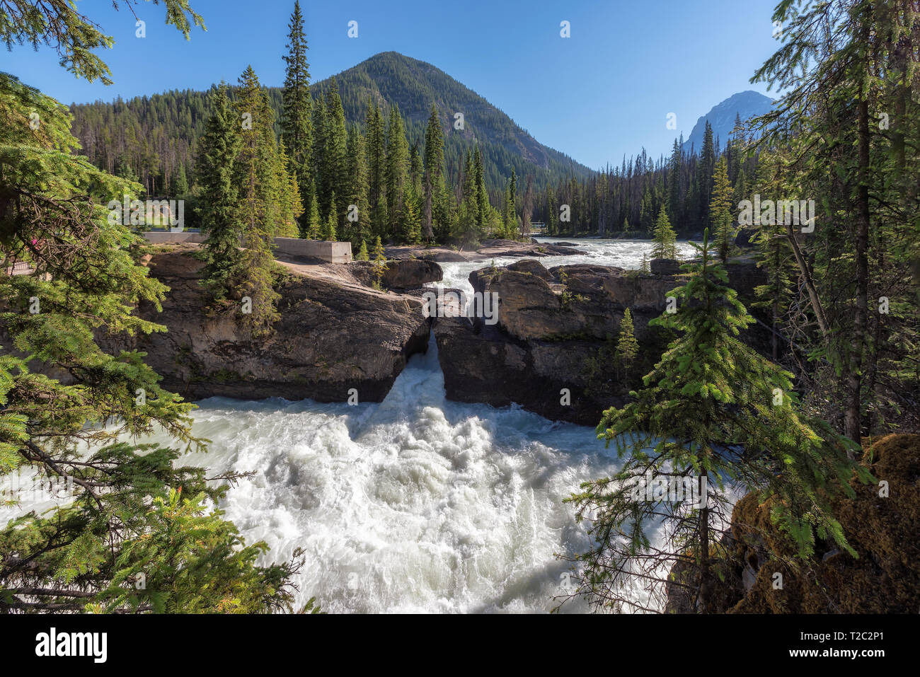Parco Nazionale di Yoho, Canada. Il famoso ponte naturale fenomeni. Foto Stock