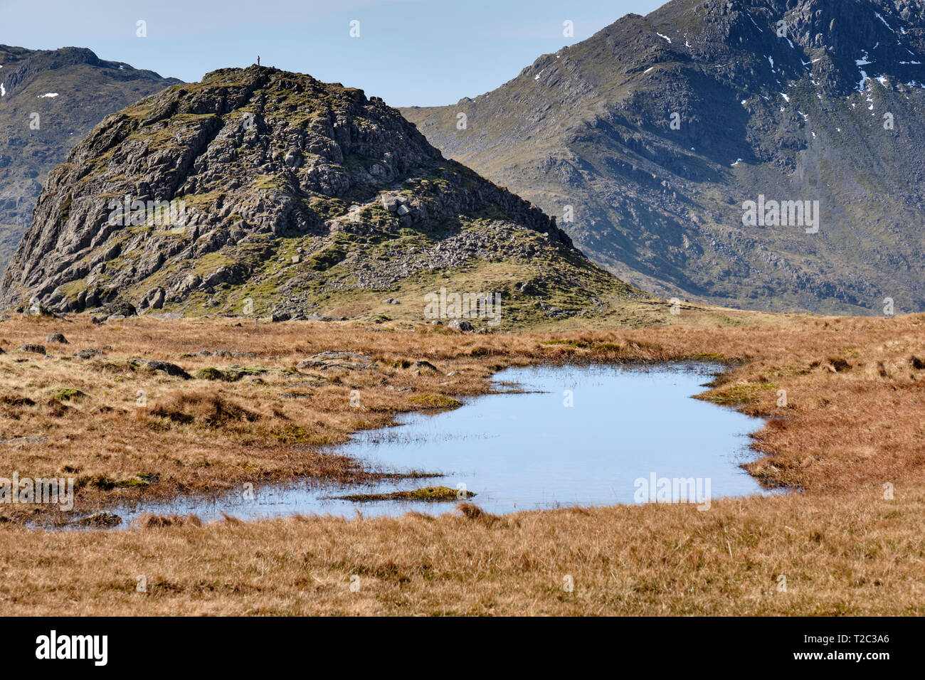 Walker sul vertice di Pike of Stickle, Langdale Pikes, Lake District, Cumbria Foto Stock