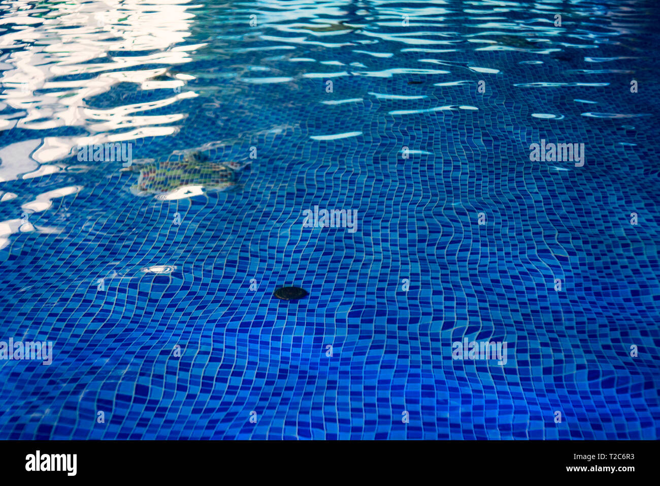 Il bel pavimento progettazione di piscina interna. La subacquea sistema di scarico di una piscina nel parco acquatico. In piastrelle blu decor del terreno in aquapark po Foto Stock