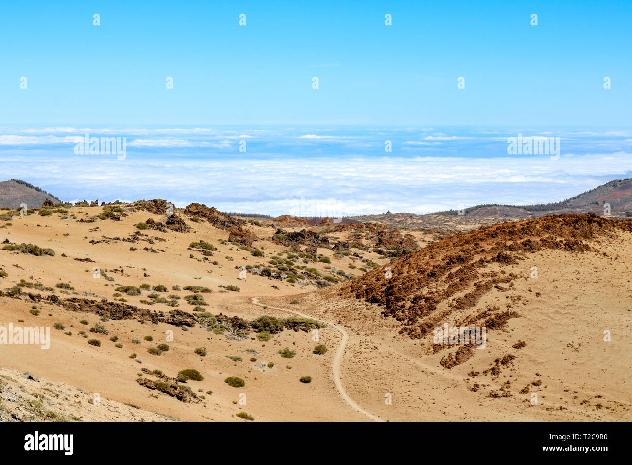 Deserto come il paesaggio al di sopra delle nuvole sulle pendici del monte Teide, Tenerife, Isole Canarie, Spagna Foto Stock