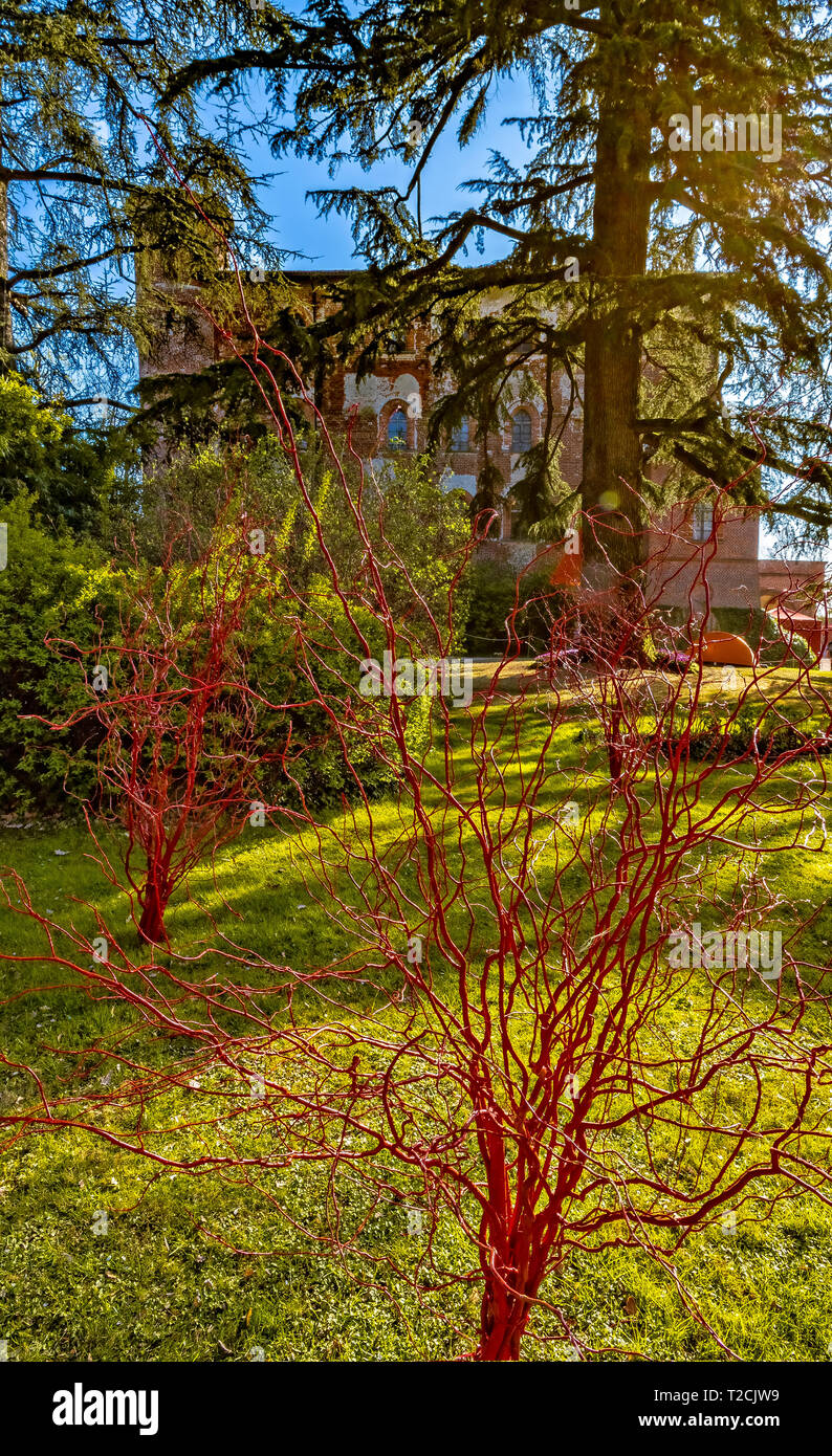Italia Piemonte Castello di Pralormo ' Messer Tulipano ' caso annunciando la molla dedicata ai tulipani Foto Stock