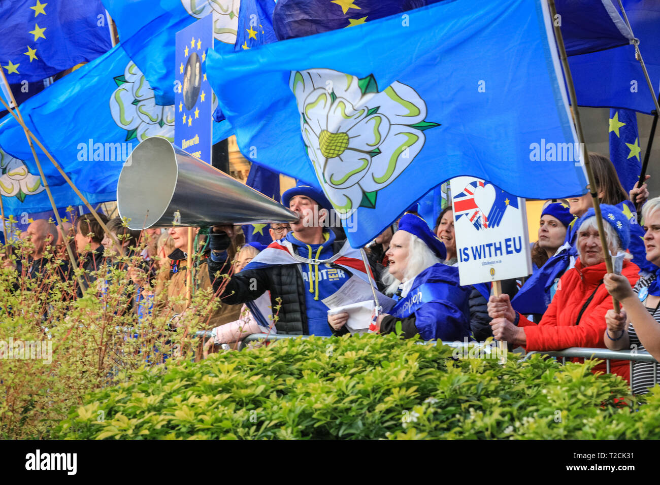 Westminster, Londra, Regno Unito, 1 aprile 2019. Anti-Brexit manifestanti, compreso un gruppo da Yorkshire con bandiere blu incorporante il Yorkshire Rose, si radunano e cantano fuori le case del Parlamento e in prossimità della zona di media su College Green in Westminster, alla vigilia del voto ulteriormente su Brexit. Credito: Imageplotter/Alamy Live News Foto Stock