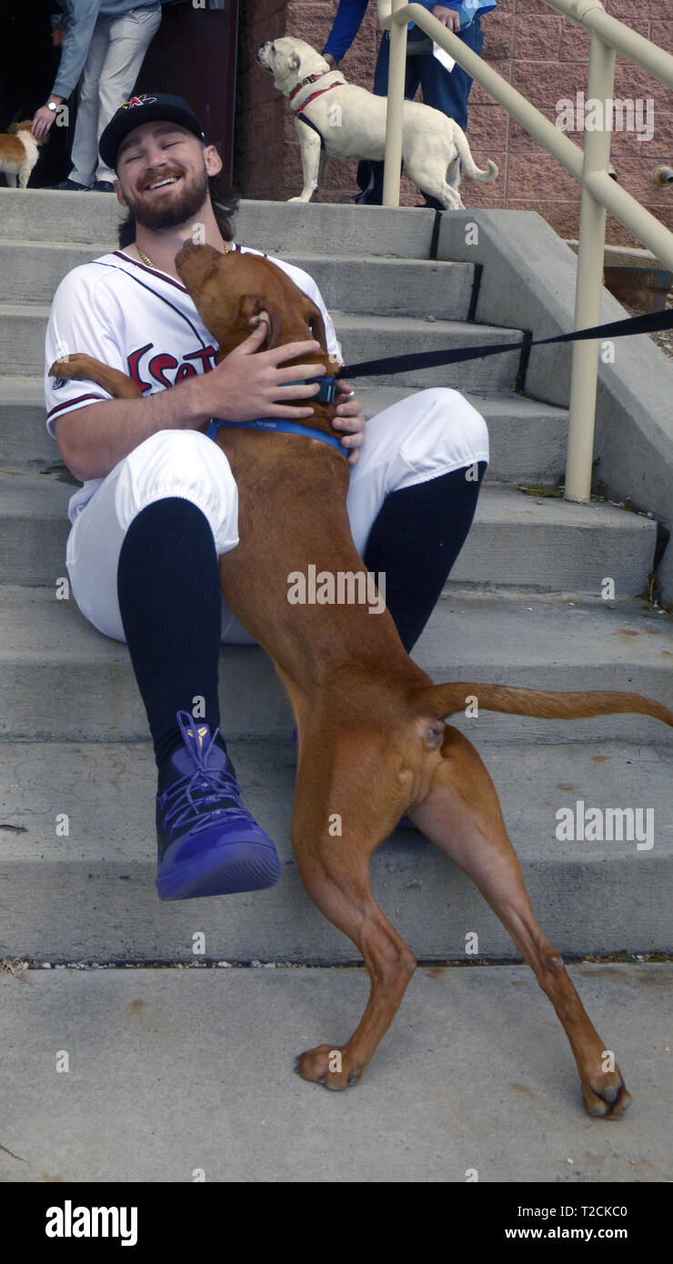 1 aprile 2019 - STATI UNITI - Sport -- isotopi Brendan Rodgers ottiene un abbraccio dal ''Cash,'' un American pit bull terrier/mix dall'animale umano New Mexico, lunedì, 1 aprile 2019. Gli isotopi sono state che posano per una foto con i cani durante il Media Day. (Credito Immagine: © Greg assorbitore/Albuquerque ufficiale via ZUMA filo) Foto Stock