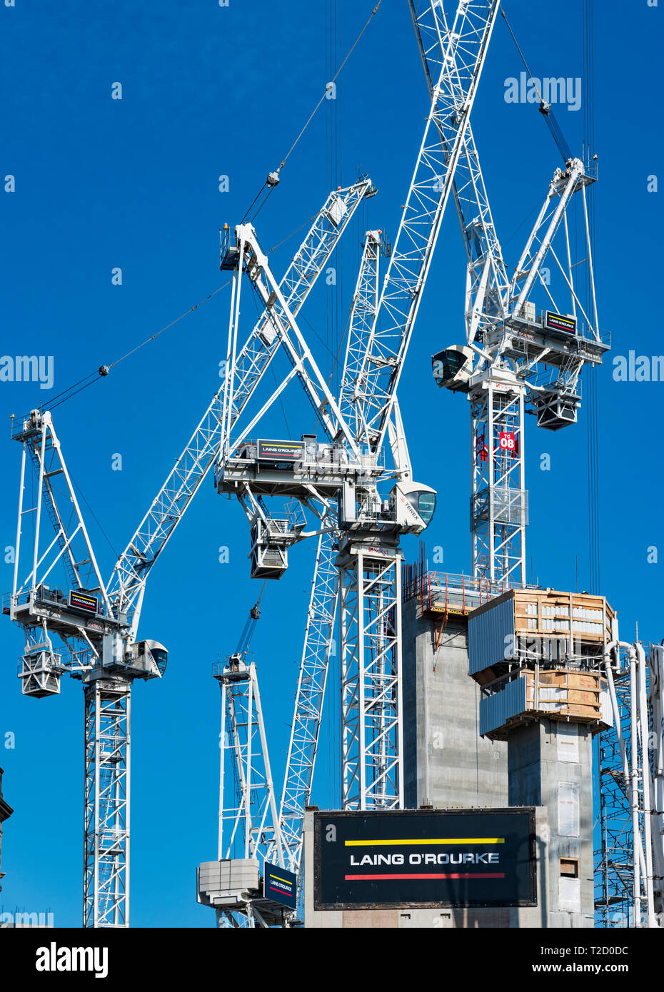 Molti la costruzione delle gru a torre in cantiere di riqualificazione del St James Centre di Edimburgo, Scozia UK Foto Stock