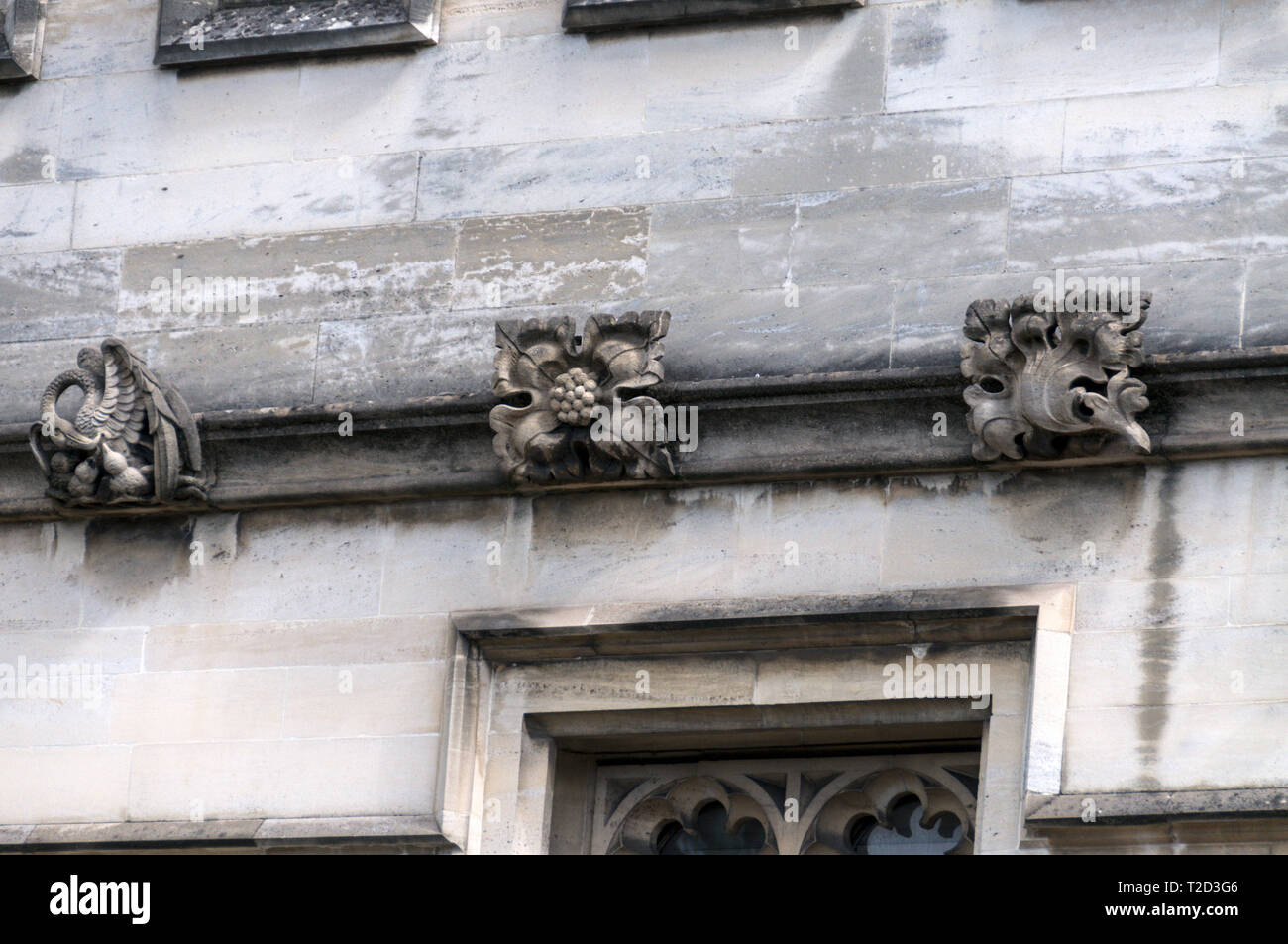 Alcuni di pietra-mascheroni scolpiti sulle pareti lungo le pareti del Magdalen College di Oxford, Gran Bretagna Foto Stock