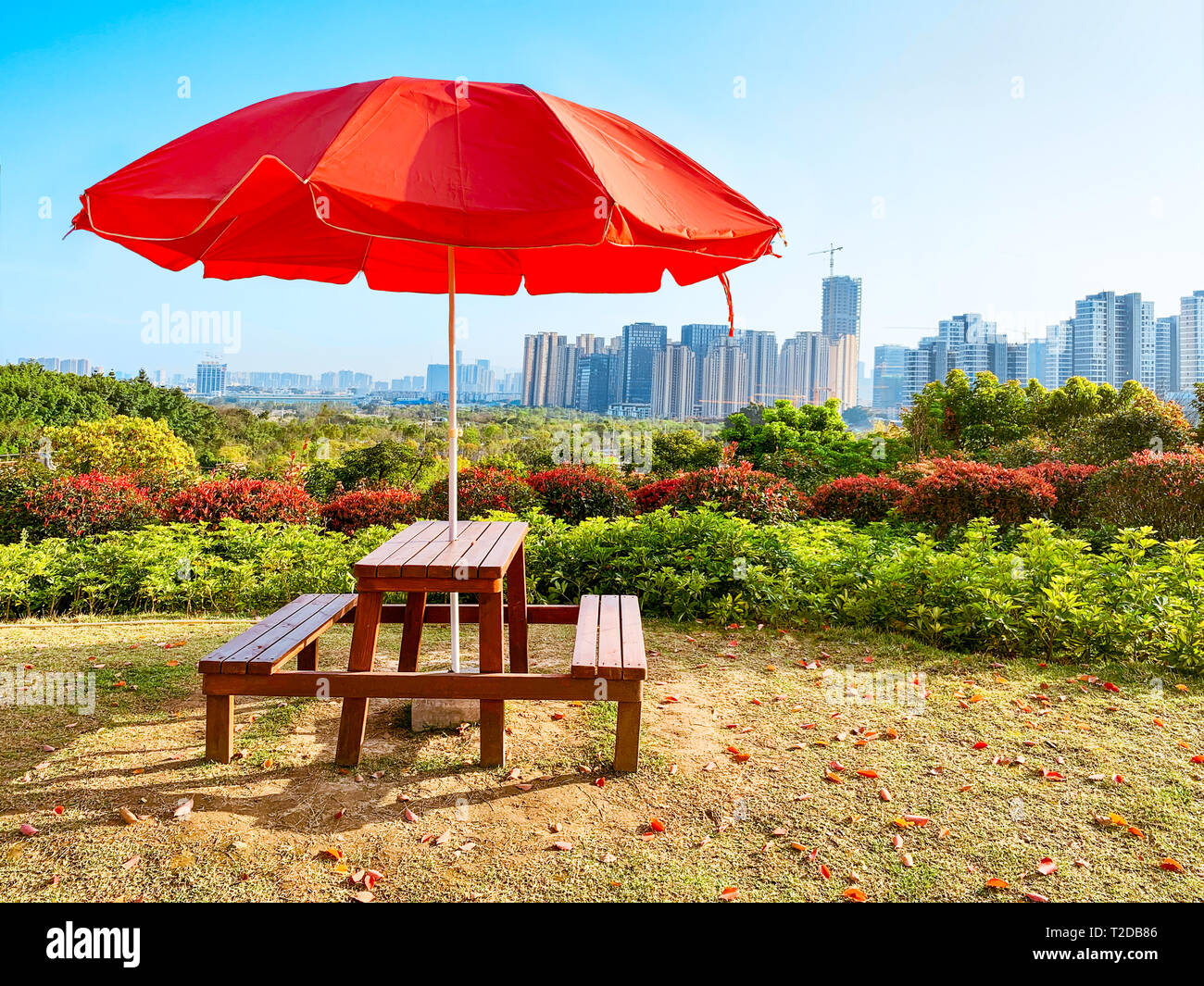 Giardino tavolo in legno sotto ombrellone rosso nel parco,con lo skyline della città in background.Vista da una collina nel Parco niugangshan,Fuzhou,Fujian,Cina Foto Stock