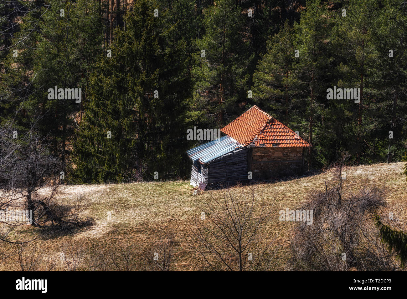 Piccola casa in legno in montagna Foto Stock