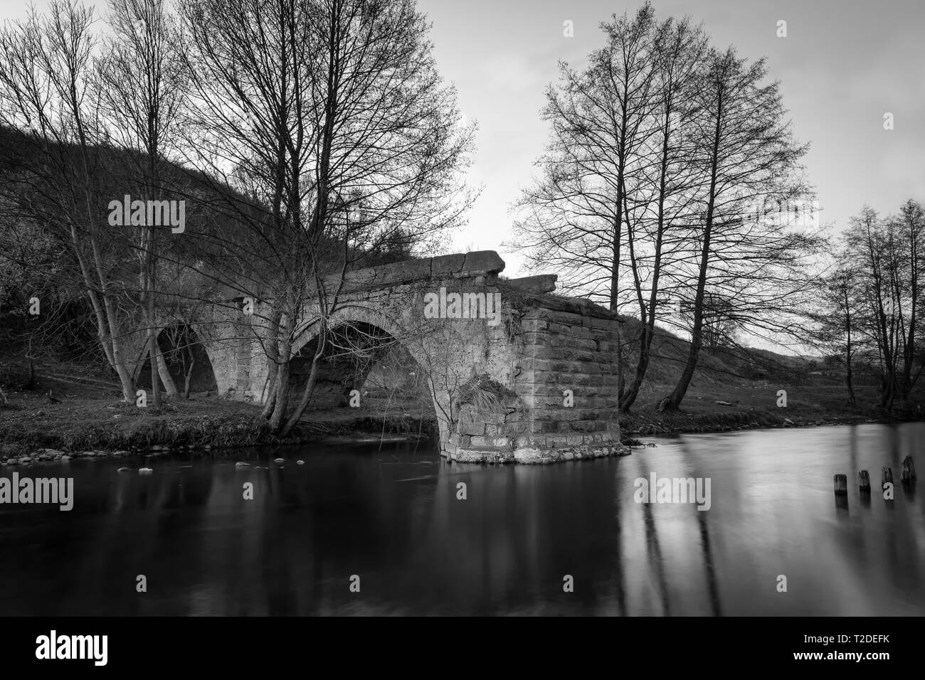 Antico ponte in pietra chiamato ponte Begov e tralicci in legno che fuoriescono dal fiume Temstica Foto Stock