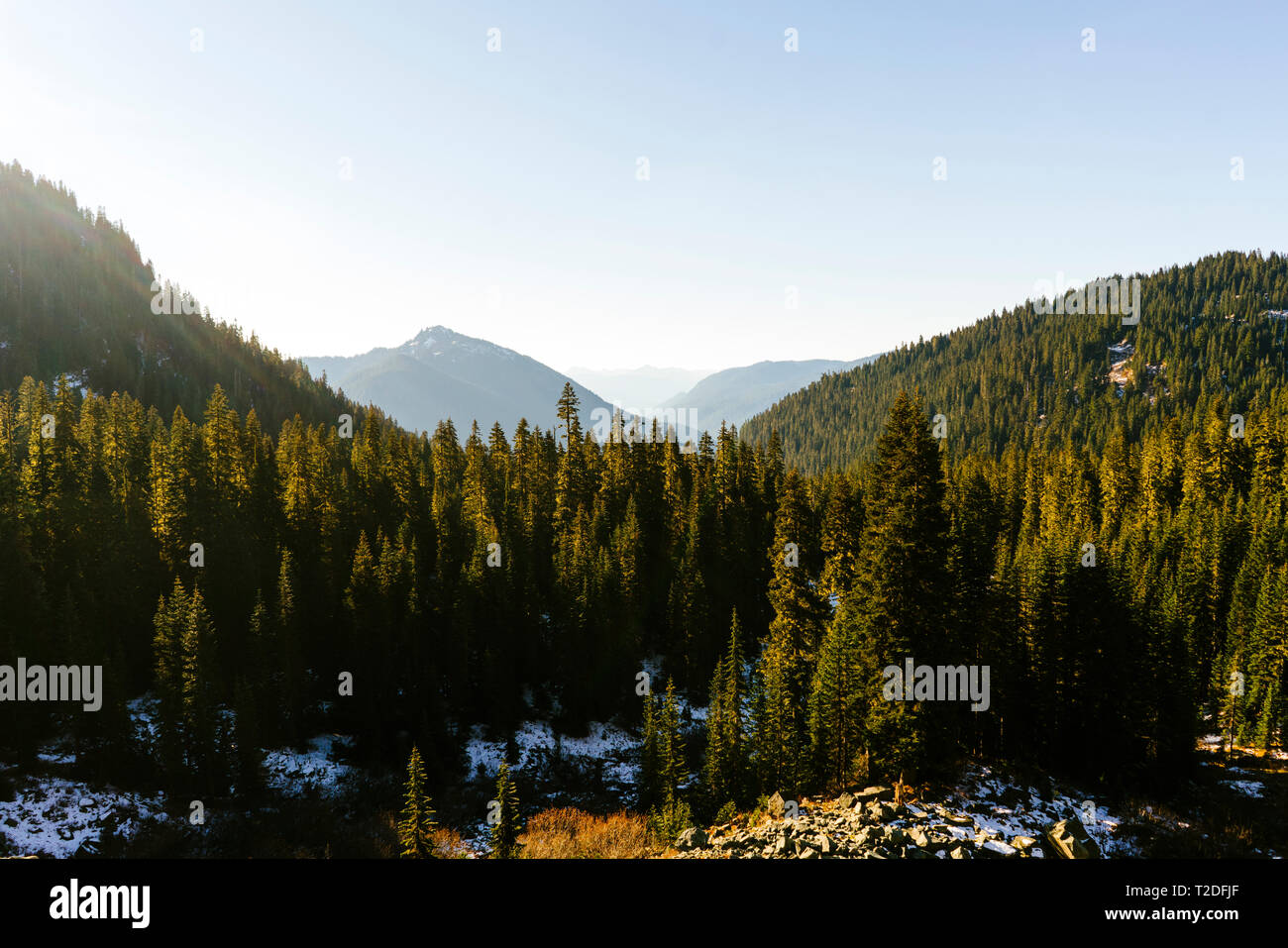 Vista panoramica sul Monte Rainier National Park Foto Stock