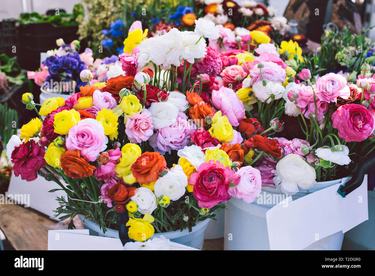 Benne di bello e colorato bouquet di fiori sono in vendita in un mercato degli agricoltori in stallo Foto Stock
