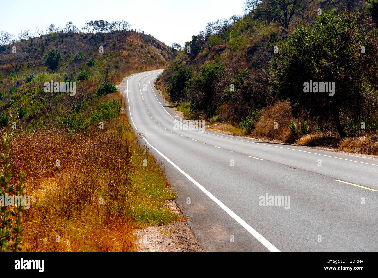 Strada asfaltata della curvatura fino attraverso il mountain pass marrone con erba secca e cespugli verdi sul lato strada. Foto Stock