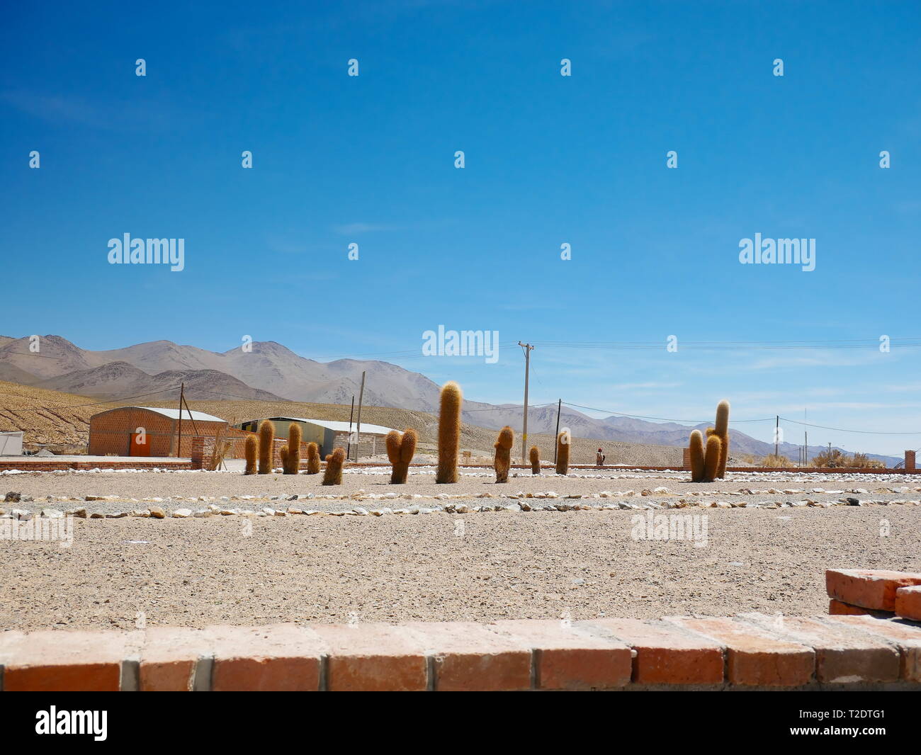 Altipiano andino vicino a San Antonio de Los Cobres, Argentina Foto Stock