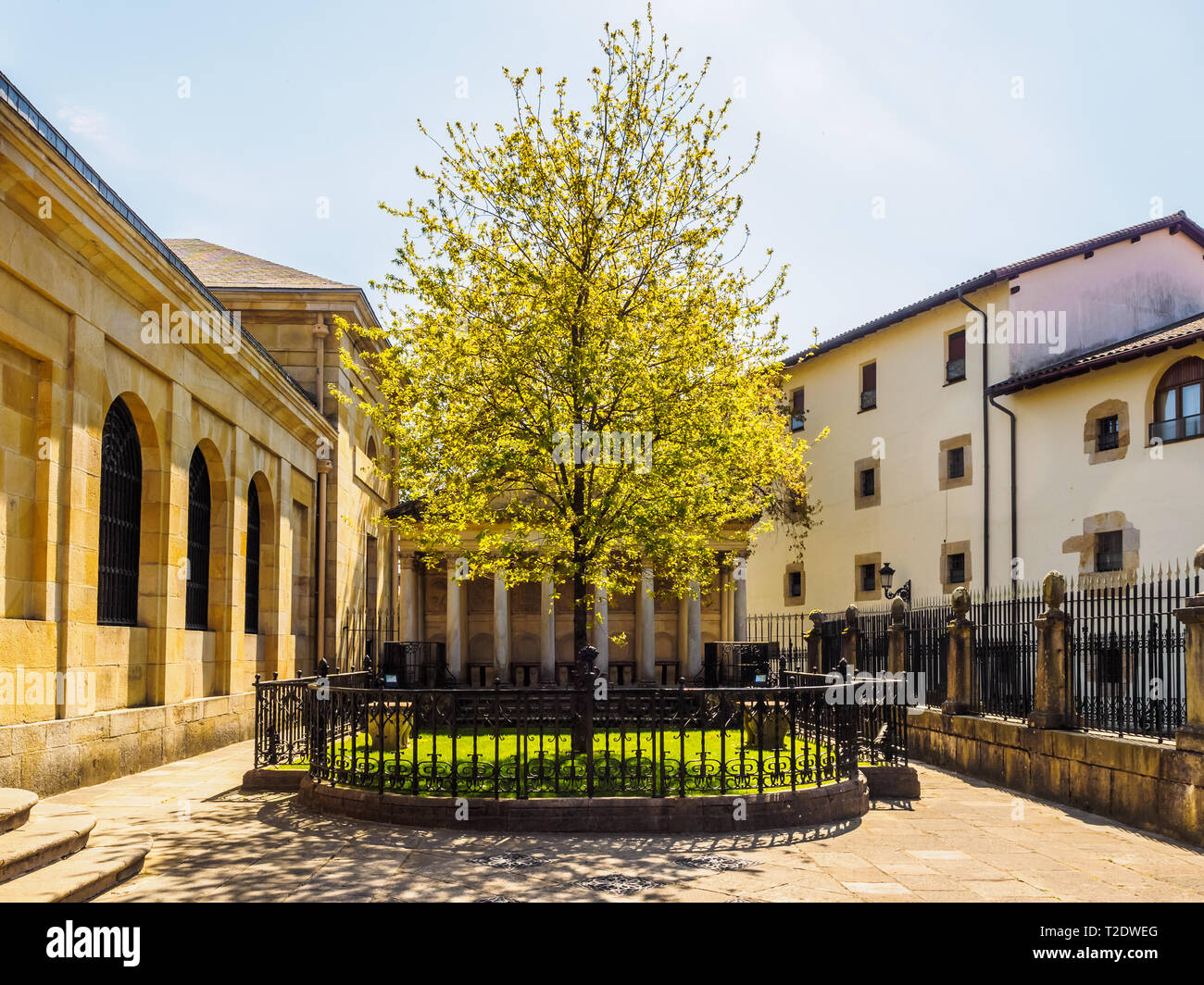 La struttura ad albero di Guernica (Gernika), Paese Basco. Giornata di sole Foto Stock