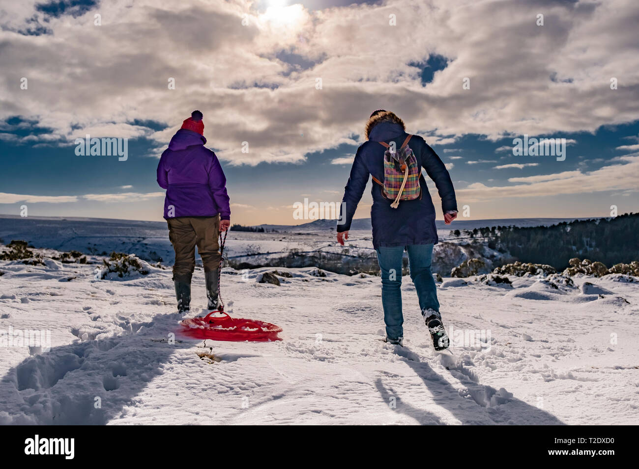 Due persone godendo di una passeggiata su Dartmoor nella neve con una slitta. Foto Stock