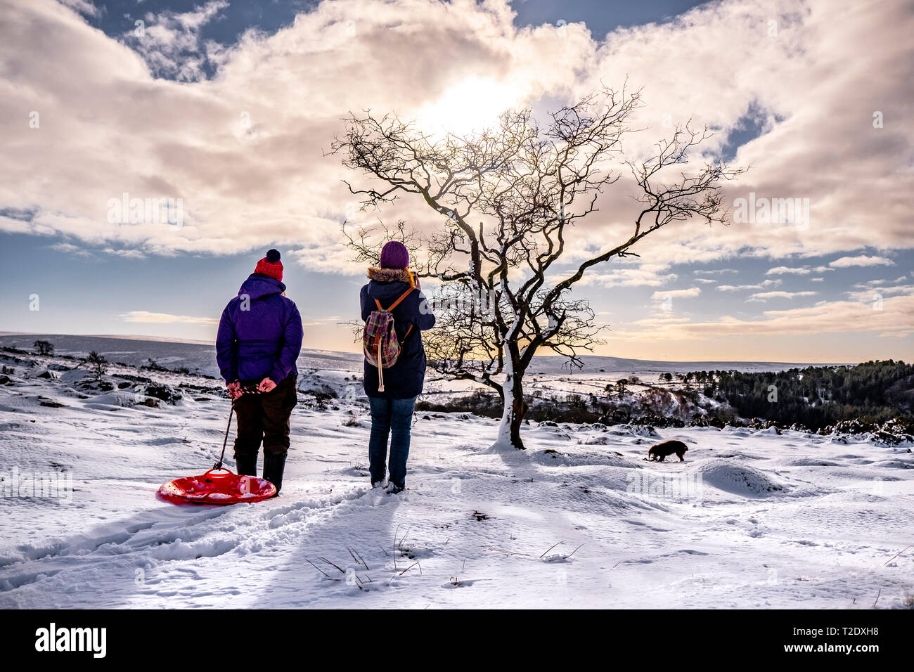 Due persone godendo di una passeggiata su Dartmoor nella neve con una slitta. Foto Stock