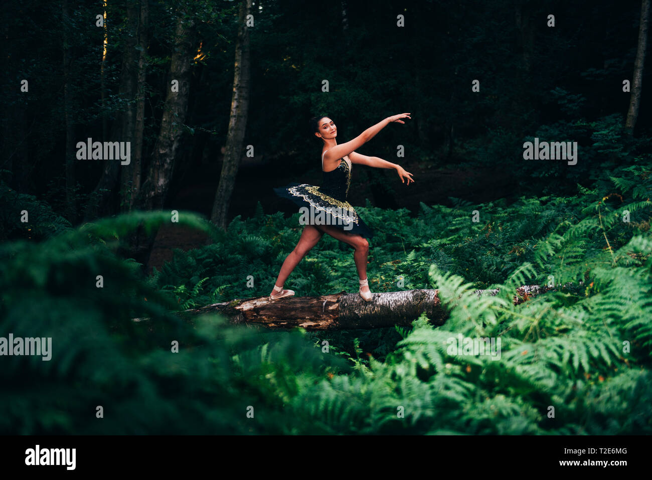 Ballerina in posa di bilanciamento della foresta sul log circondato da fearns Foto Stock