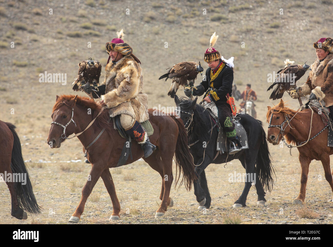 Il bayan Ulgii, Mongolia, 3 ottobre 2015: eagle cacciatrice, Aisholpan, viaggiando con suo padre in un paesaggio della Mongolia occidentale Foto Stock