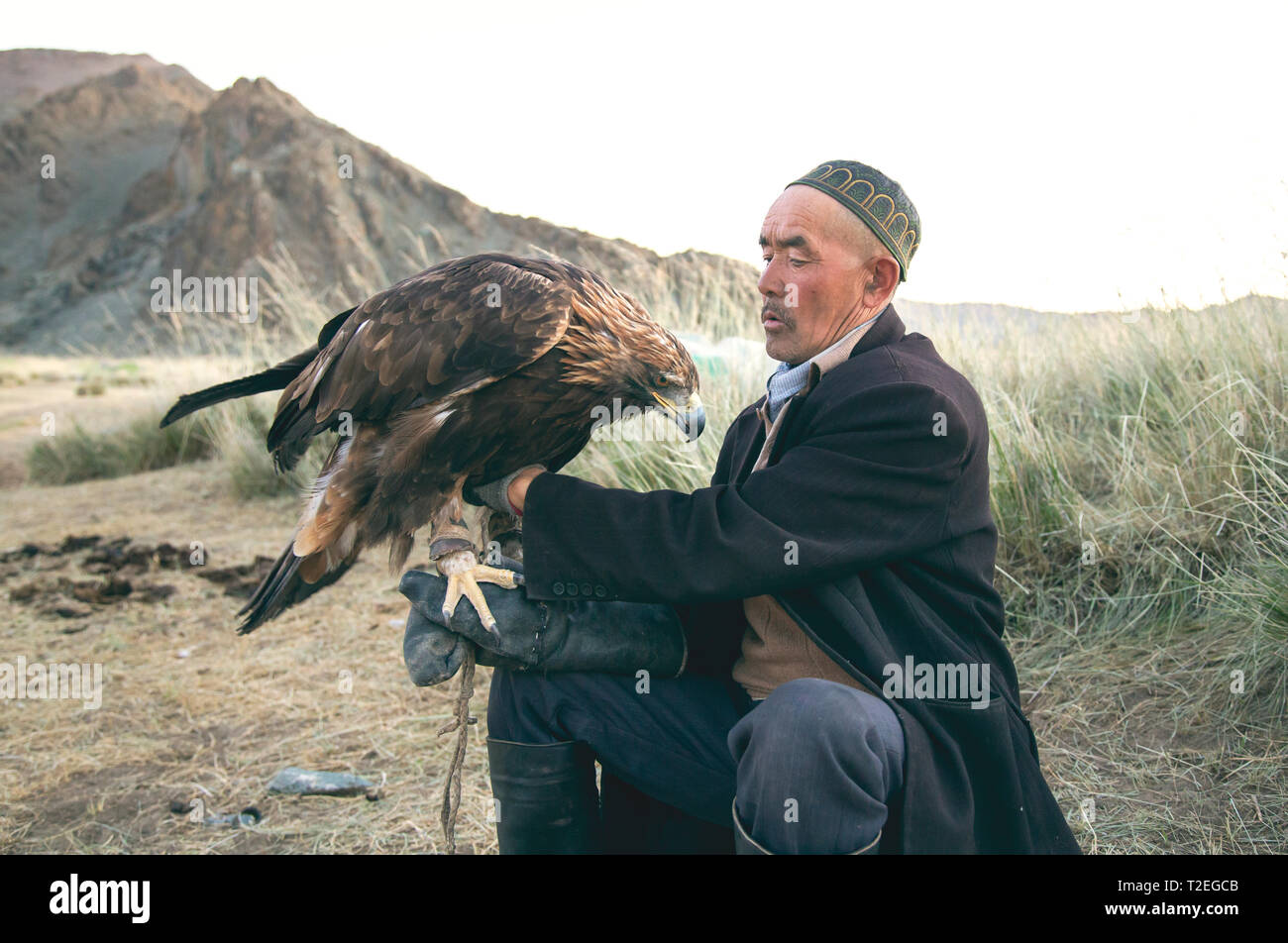 Il bayan Ulgii, Mongolia, 1 ottobre 2015: kazak eagle hunter alimentazione e petting è prezioso uccello Foto Stock