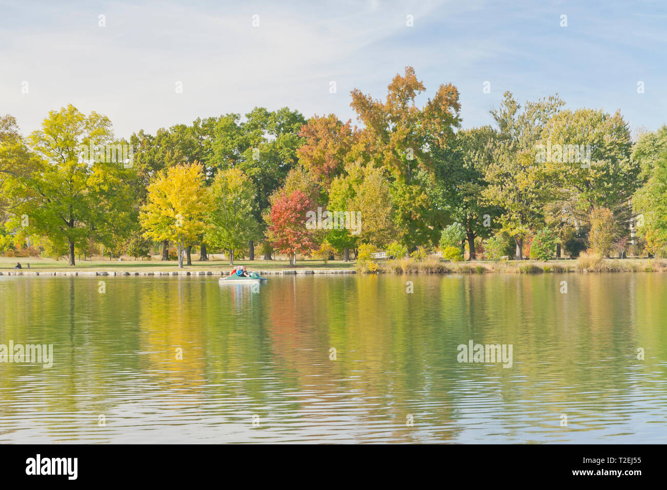 Una struttura ad albero sweetgum spicca sopra gli alberi con fogliame di autunno come quattro donne godetevi un giro in pedalò nel lago Post-Dispatch a St Louis Forest Park. Foto Stock
