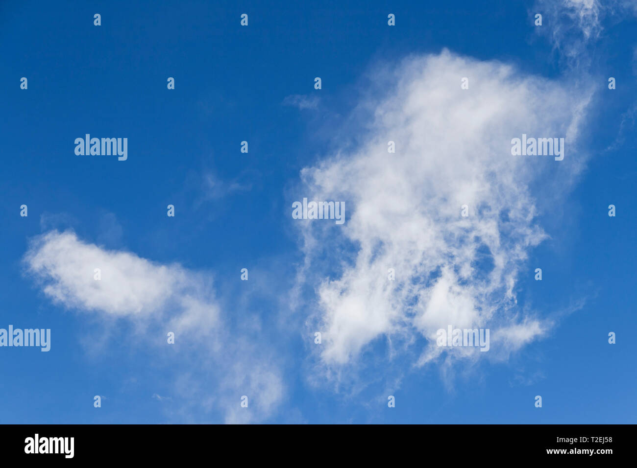Bianco brillante glob di nubi in un profondo blu ottobre tarda mattinata sky. La forma appare come un eschimese tirando una slitta. Foto Stock