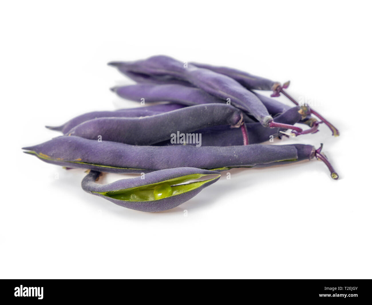 Grappolo di viola freschi Fagioli baccelli shot su bianco Foto Stock