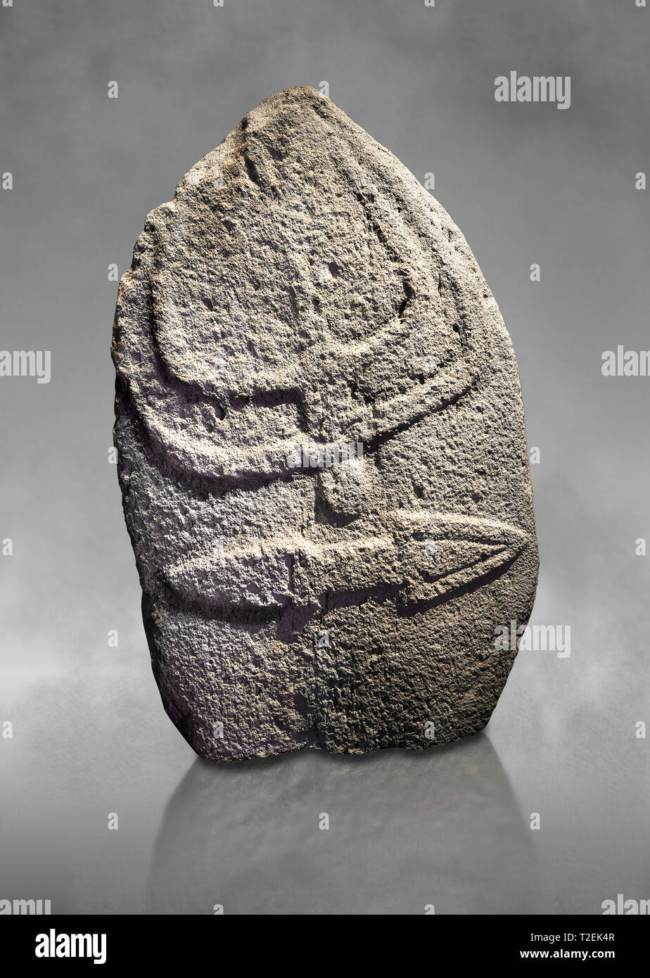 Tardo neolitico europeo Menhir preistorici di pietra permanente con intagli sulla sua faccia laterale. La rappresentazione di un stylalised figura maschile inizia a Foto Stock